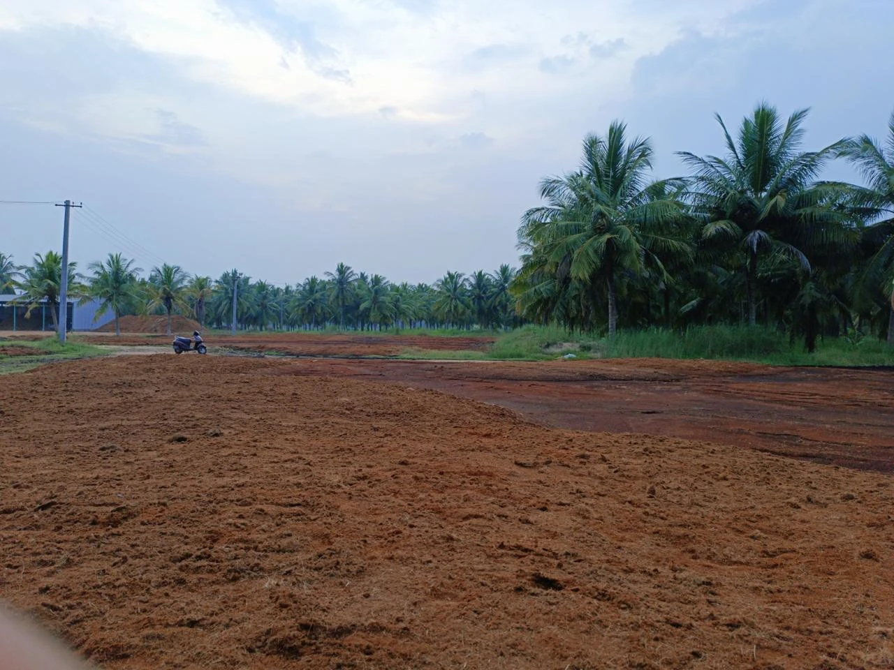 Coir production area in Punalvasal